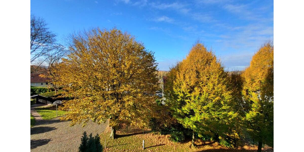 Etagenwohnung Essen Stadtbezirk VII - 3.5 Zimmer, 76 m&sup2;, 197.400&euro; | Angebot:23826802