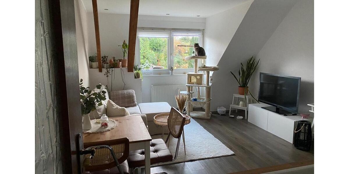 Dachgeschoßwohnung Essen Stadtbezirk IV - 2 Zimmer, 38 m&sup2;, 375&euro; | Angebot:25947677