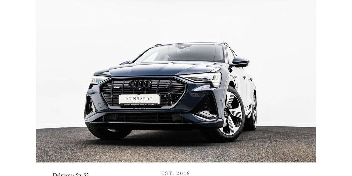 Audi e-tron 51.428 km 35.840 &euro; Hagen 58091
