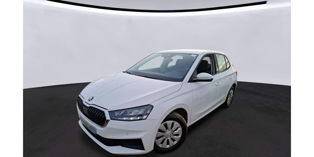 Skoda Fabia 49.999 km 11.700 &euro; Hagen 58091