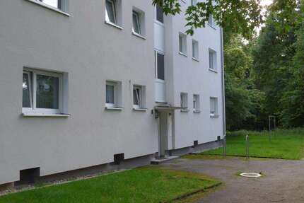 Wohnung Gelsenkirchen Hassel - 3 Zimmer, 66 m&sup2;, 469&euro; | Angebot:26098188