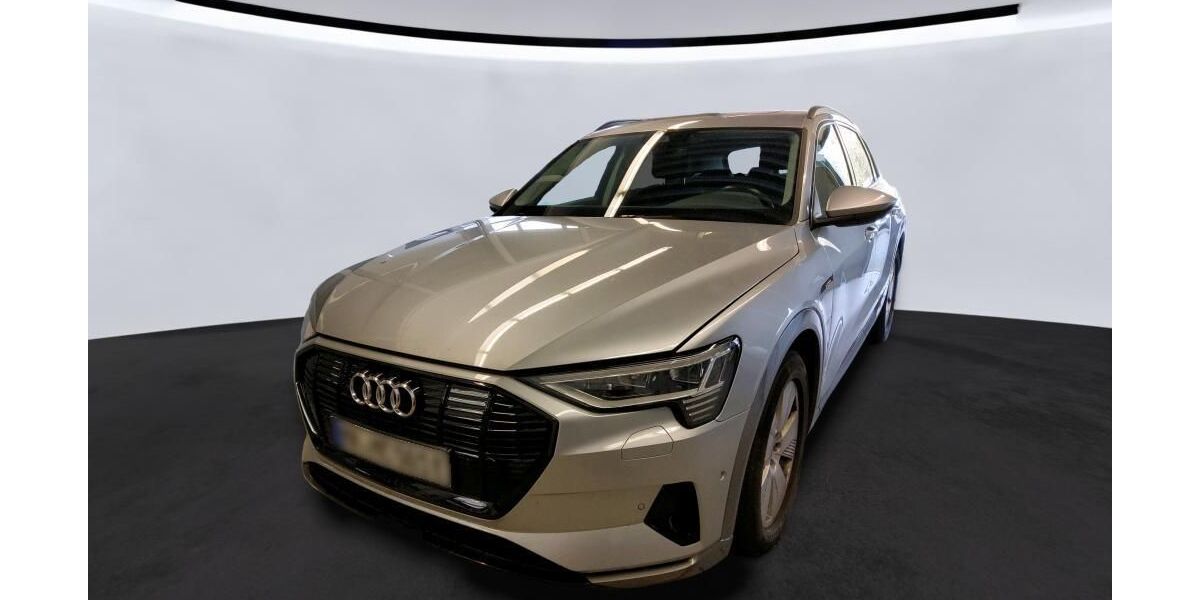 Audi e-tron 22.478 km 30.316 &euro; Hagen 58091
