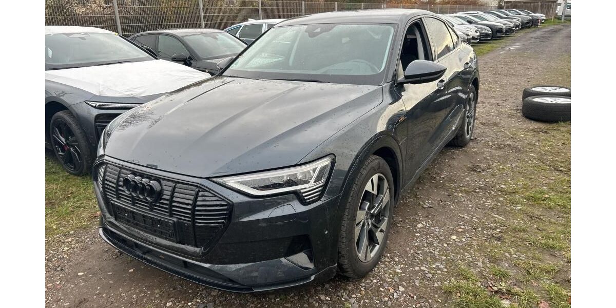 Audi e-tron 32.983 km 30.660 &euro; Hagen 58091