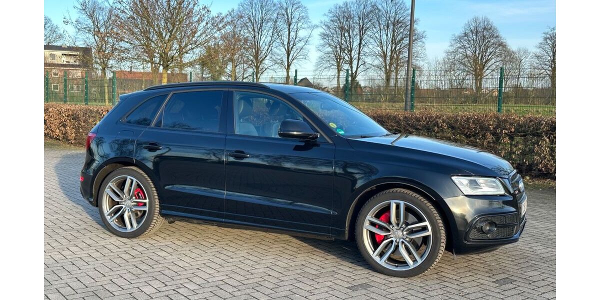 Audi SQ5 162.000 km 21.999 &euro; Lüdinghausen 59348