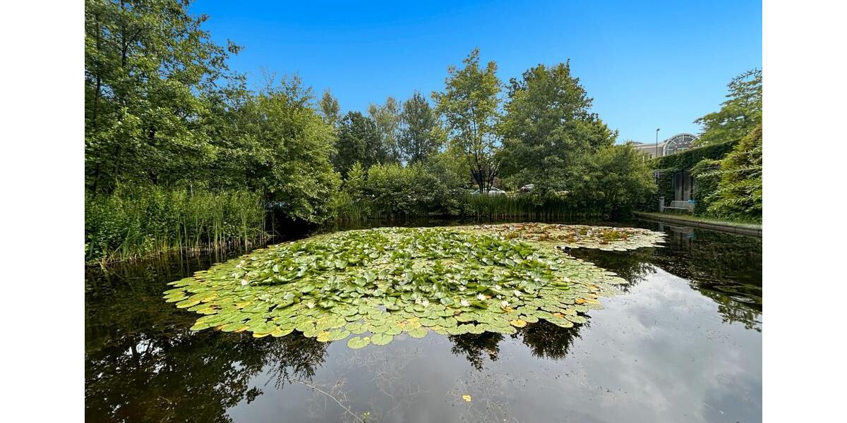 Gewerbeobjekt Essen Stadtbezirk II - 659&euro; | Angebot:22935382