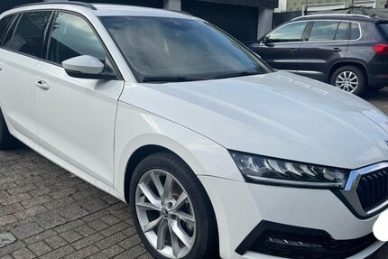 Skoda Octavia 51.323 km 16.800 &euro; Bottrop 46238