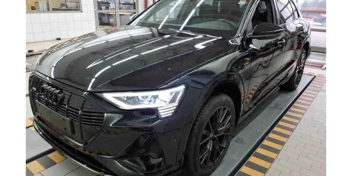 Audi e-tron 41.995 km 39.025 &euro; Hagen 58091