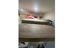 Erdgeschoßwohnung Essen Stadtbezirk VII - 1 Zimmer, 33 m&sup2;, 680&euro; | Angebot:26669645