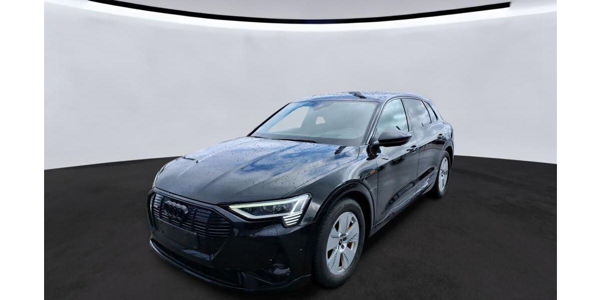 Audi e-tron 63.014 km 36.888 &euro; Hagen 58091