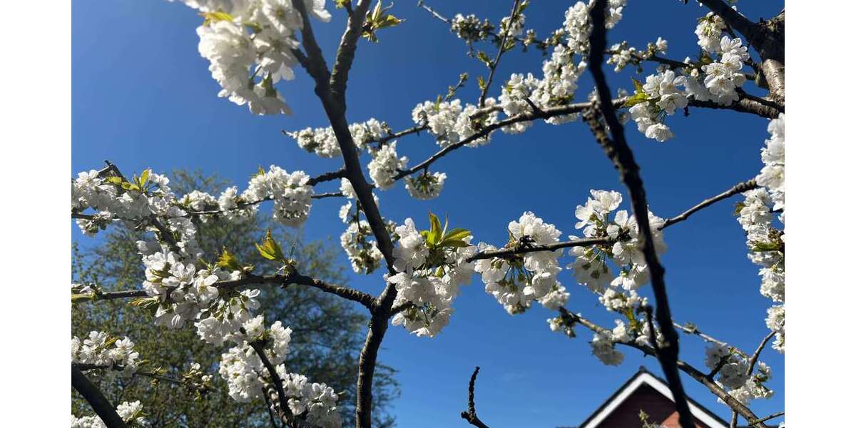 Grundstück Castrop-Rauxel Rauxel - 224.000&euro; | Angebot:26183435