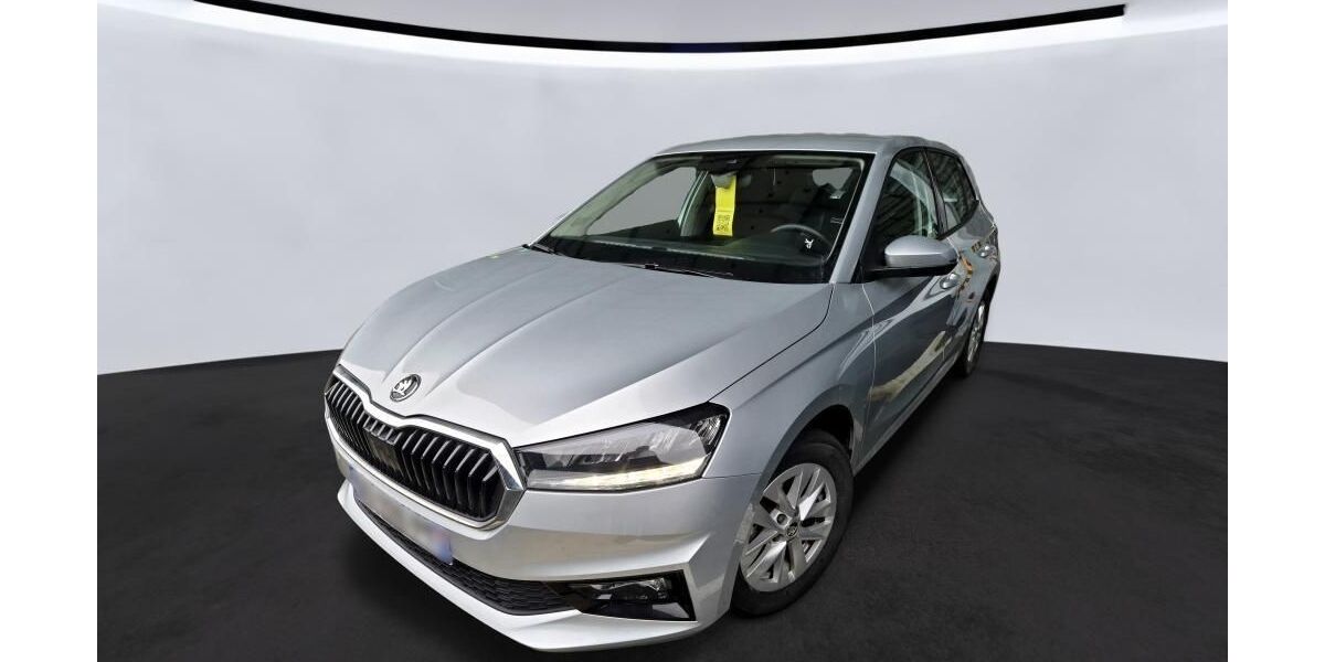 Skoda Fabia 29.142 km 13.950 &euro; Hagen 58091