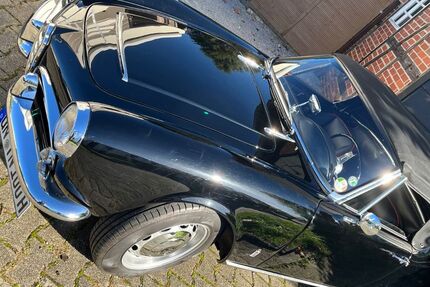 Alfa Romeo Spider 123.456 km 59.900 &euro; Kamen 59174