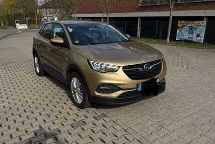 Opel Grandland (X) 113.000 km 11.000 &euro; Dortmund 44141