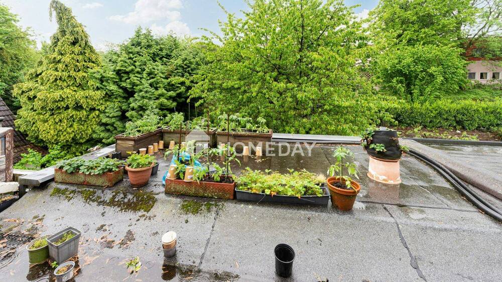 Mehrfamilienhaus, Wohnhaus Essen Holsterhausen - 1 Zimmer, 150 m&sup2;, 1.095.000&euro; | Angebot:26542740