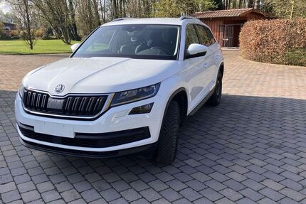 Skoda Kodiaq 167.000 km 20.500 &euro; Waltrop 45731