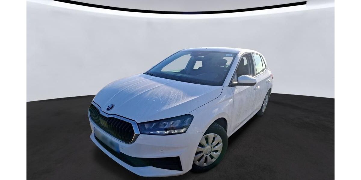 Skoda Fabia 46.624 km 11.695 &euro; Hagen 58091