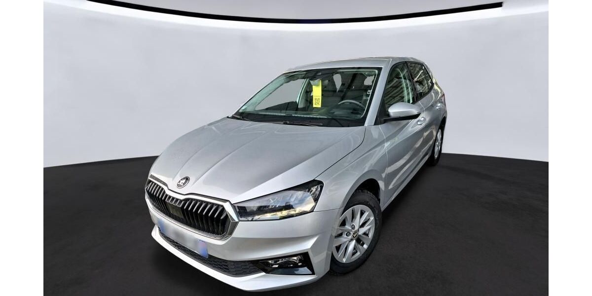 Skoda Fabia 52.930 km 13.945 &euro; Hagen 58091