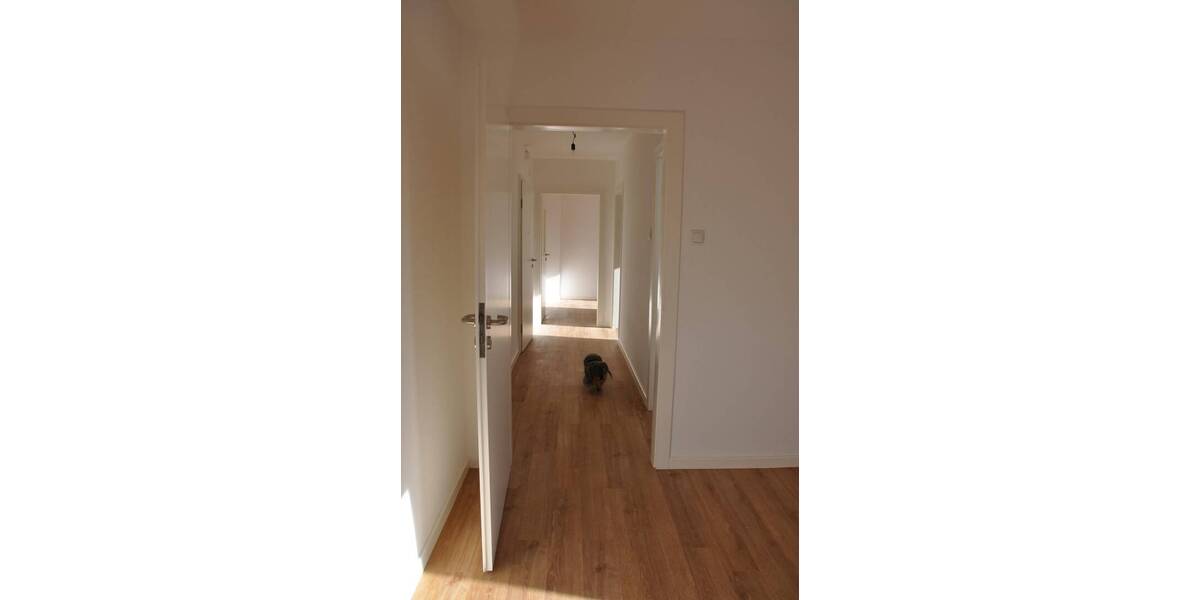 Etagenwohnung Essen Holsterhausen - 2 Zimmer, 41 m&sup2;, 513&euro; | Angebot:26044997