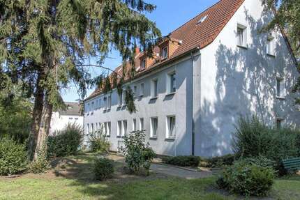 Wohnung Herne Wanne-Bickern - 1 Zimmer, 34 m&sup2;, 309&euro; | Angebot:26149919