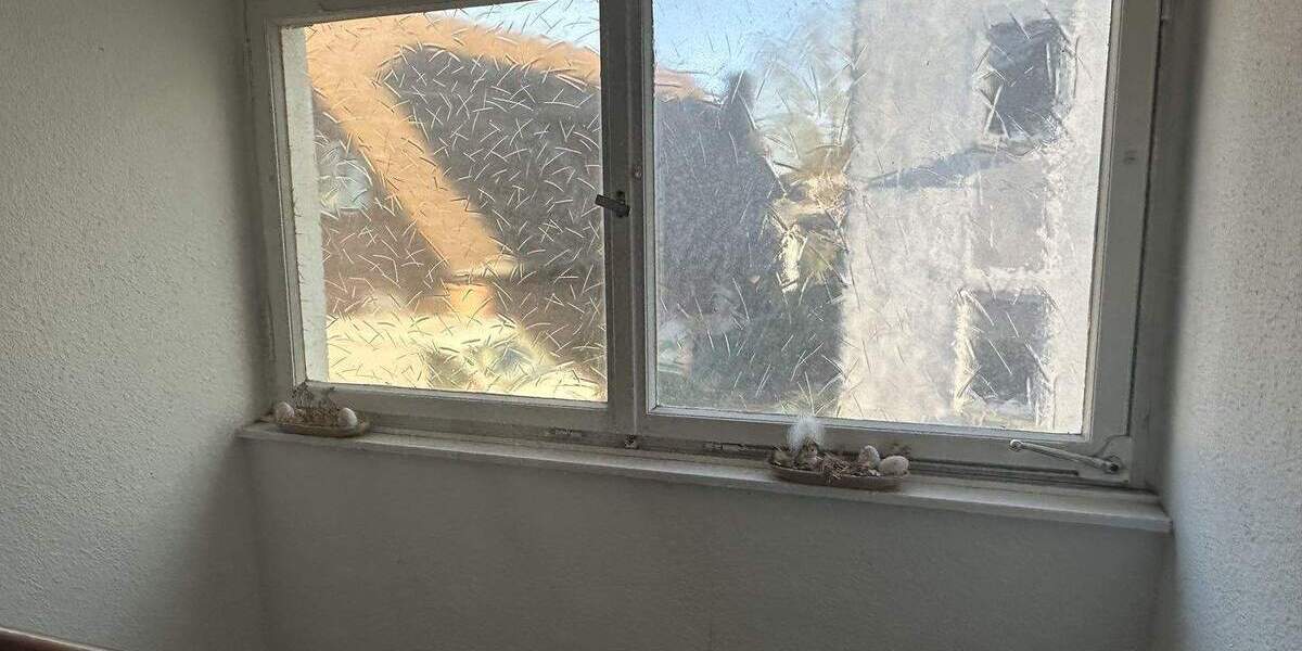 Mehrfamilienhaus, Wohnhaus Datteln Horneburg - 7 Zimmer, 184 m&sup2;, 235.000&euro; | Angebot:25929067