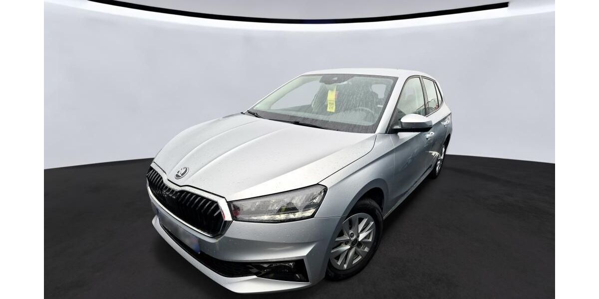 Skoda Fabia 45.350 km 13.950 &euro; Hagen 58091