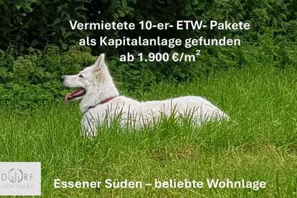 Wohnung Essen Stadtbezirk IX - 25 Zimmer, 650 m&sup2;, 1.311.000&euro; | Angebot:26087290