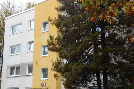Wohnung Recklinghausen Berghausen - 3 Zimmer, 65 m&sup2;, 537&euro; | Angebot:26694942