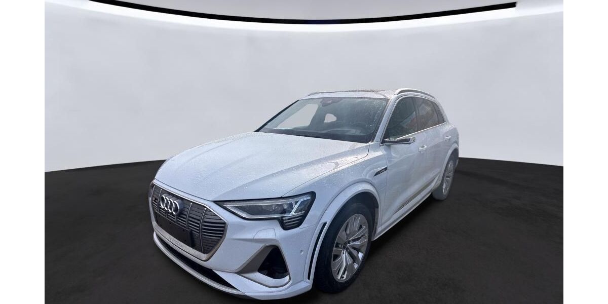 Audi e-tron 81.847 km 37.943 &euro; Hagen 58091