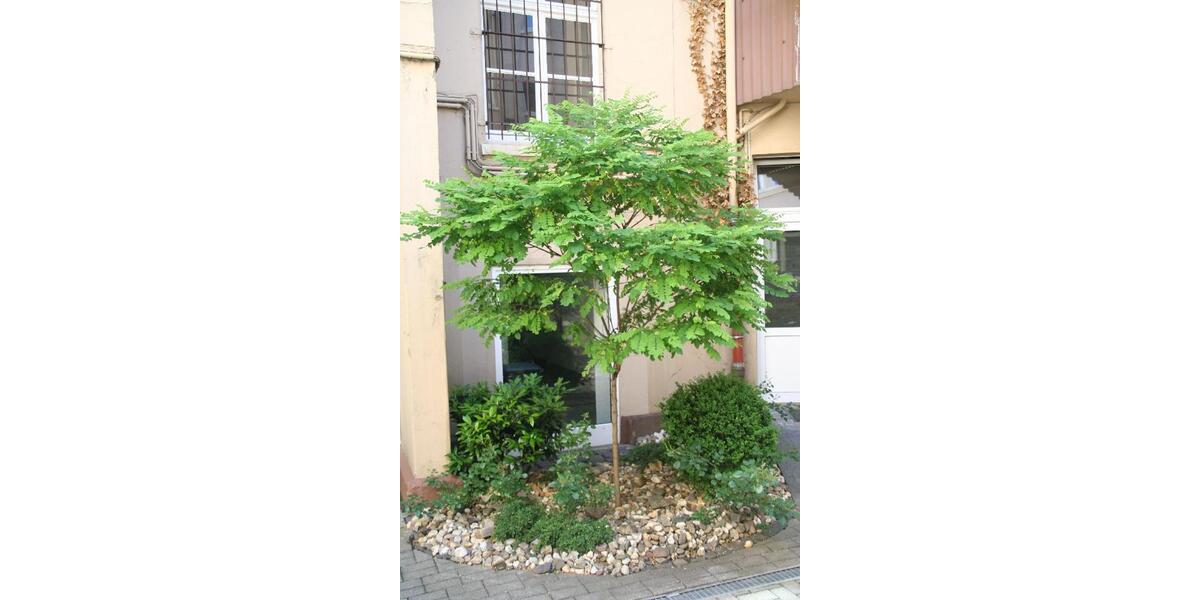 Gewerbeobjekt Dortmund - 425&euro; | Angebot:23412860