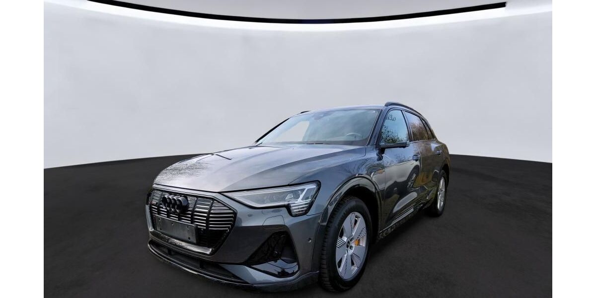 Audi e-tron 61.747 km 37.789 &euro; Hagen 58091