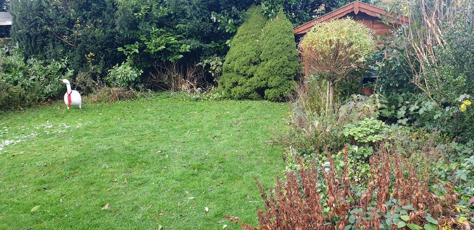 Doppelhaushälfte Recklinghausen Berghausen - 5 Zimmer, 110 m&sup2;, 329.000&euro; | Angebot:27108849