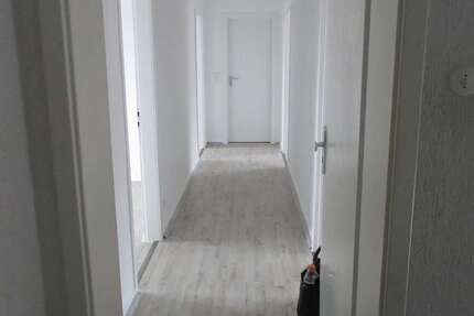 Wohnung Essen Altendorf - 1 Zimmer, 20 m&sup2;, 250&euro; | Angebot:24753823