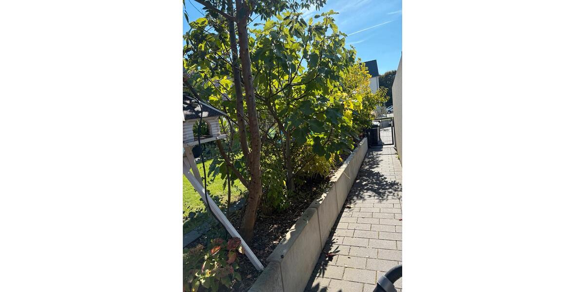 Einfamilienhaus Datteln - 4 Zimmer, 155 m&sup2;, 649.000&euro; | Angebot:25616680