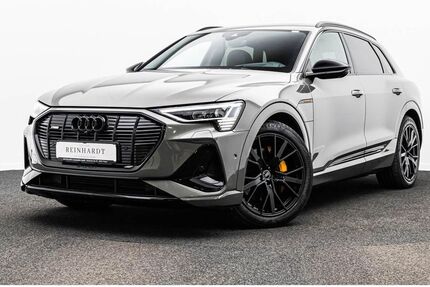 Audi e-tron 72.641 km 36.850 &euro; Hagen 58091