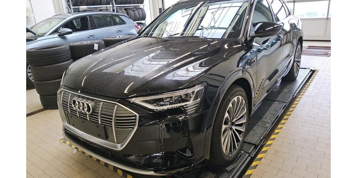 Audi e-tron 33.536 km 32.743 &euro; Hagen 58091
