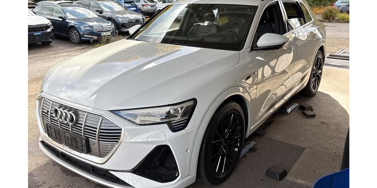 Audi e-tron 69.511 km 34.385 &euro; Hagen 58091