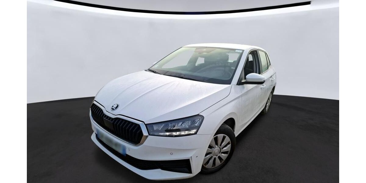 Skoda Fabia 39.411 km 11.700 &euro; Hagen 58091