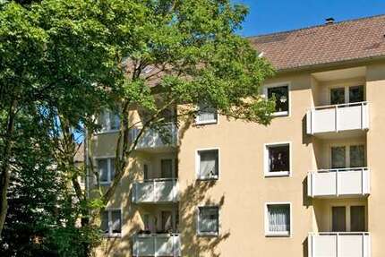 Wohnung Gladbeck Brauck - 3 Zimmer, 62 m&sup2;, 489&euro; | Angebot:26098452
