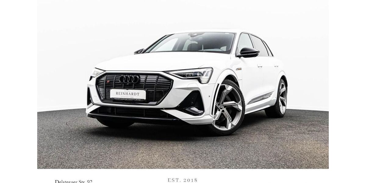 Audi e-tron 41.125 km 44.848 &euro; Hagen 58091
