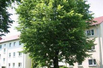 Wohnung Kamen Methler - 3 Zimmer, 67 m&sup2;, 559&euro; | Angebot:26149944