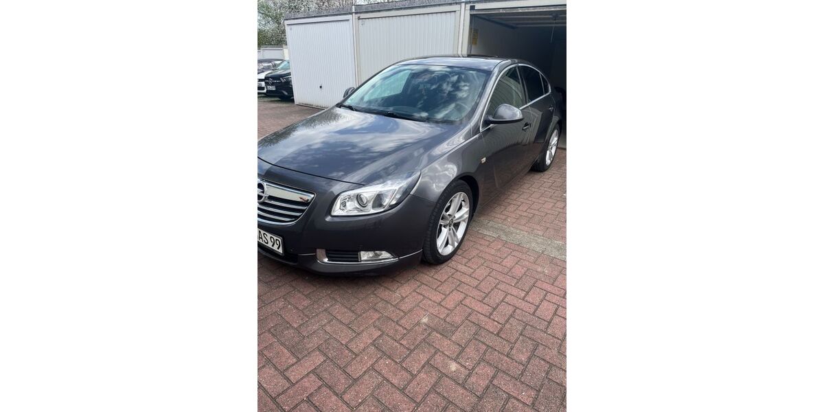 Opel Insignia 223.999 km 3.500 &euro; Lünen 44532