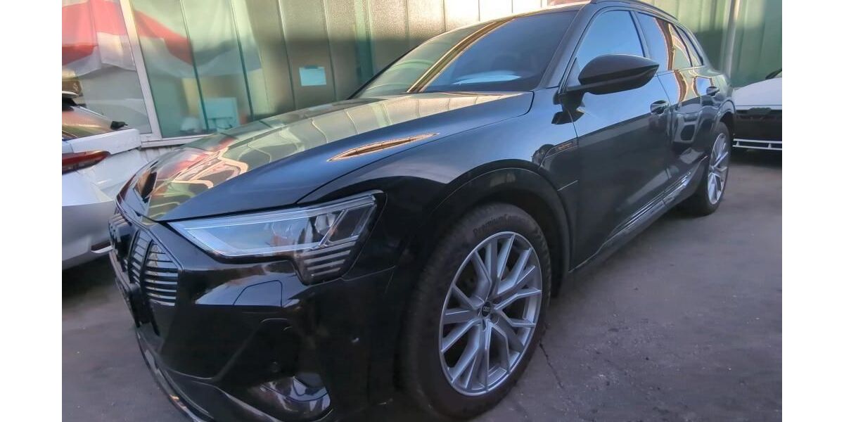 Audi e-tron 59.987 km 33.830 &euro; Hagen 58091