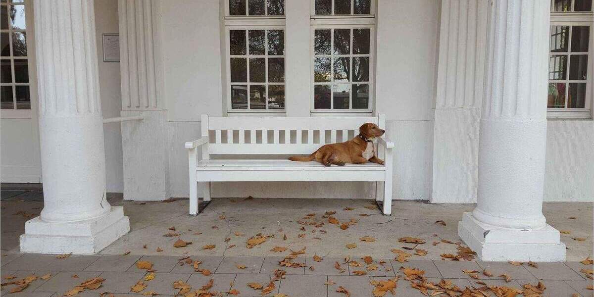 Gewerbeobjekt Bergkamen Rünthe - 220.000&euro; | Angebot:25741065