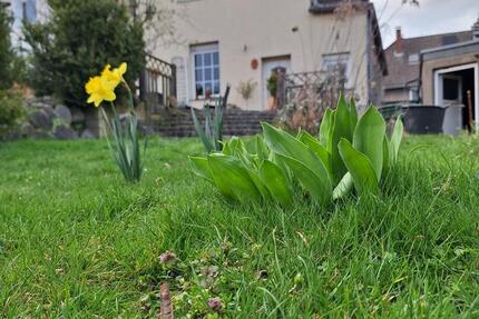 Haus Oer-Erkenschwick Erkenschwick - 5 Zimmer, 140 m&sup2;, 356.000&euro; | Angebot:25483490