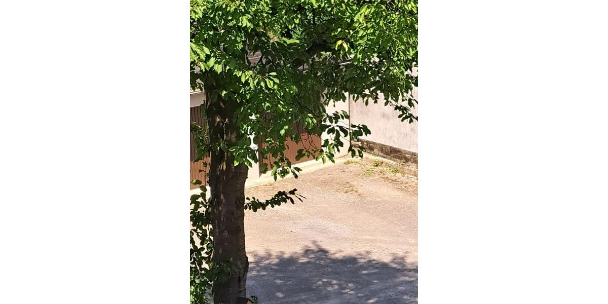 Etagenwohnung Gelsenkirchen Erle - 2.5 Zimmer, 54 m&sup2;, 85.000&euro; | Angebot:25576403