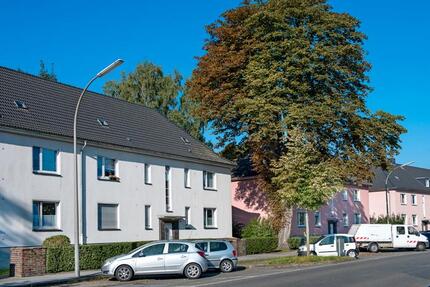 Wohnung Dortmund Brackel - 2 Zimmer, 56 m&sup2;, 529&euro; | Angebot:26586840
