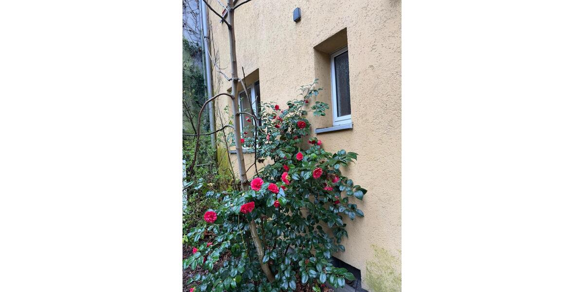 Etagenwohnung Gelsenkirchen Gelsenkirchen-Mitte - 2 Zimmer, 50 m&sup2;, 500&euro; | Angebot:26031731
