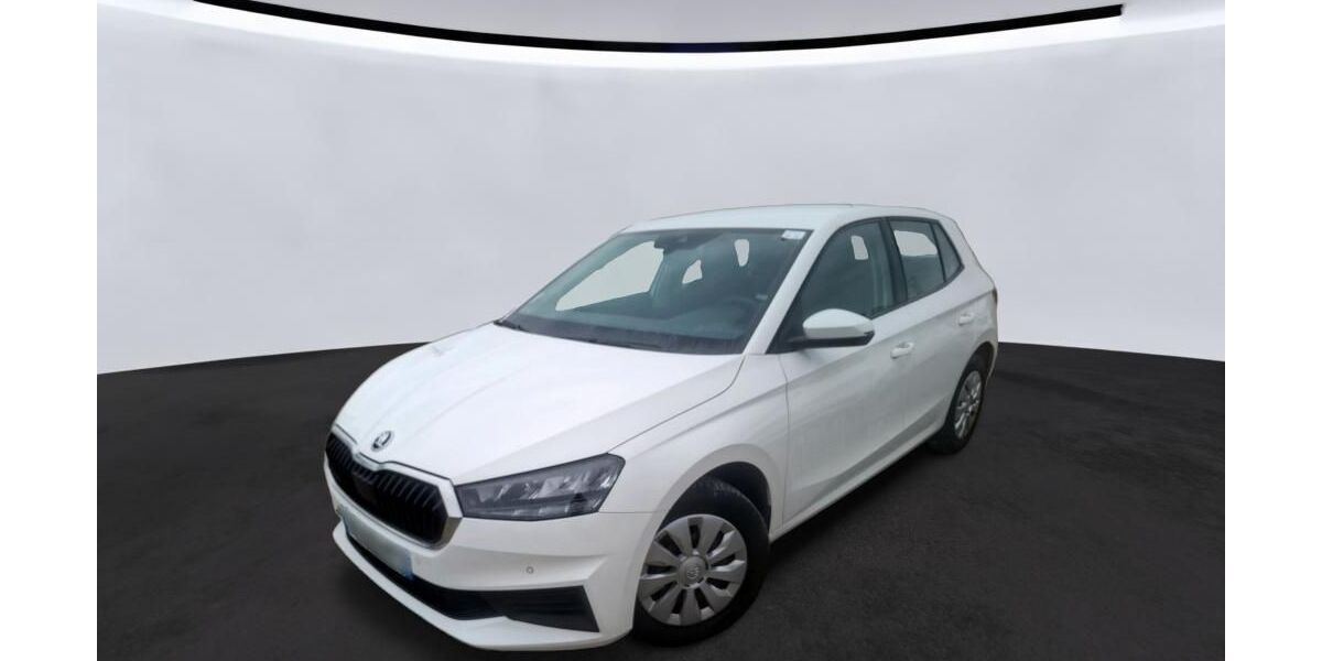 Skoda Fabia 38.768 km 11.720 &euro; Hagen 58091
