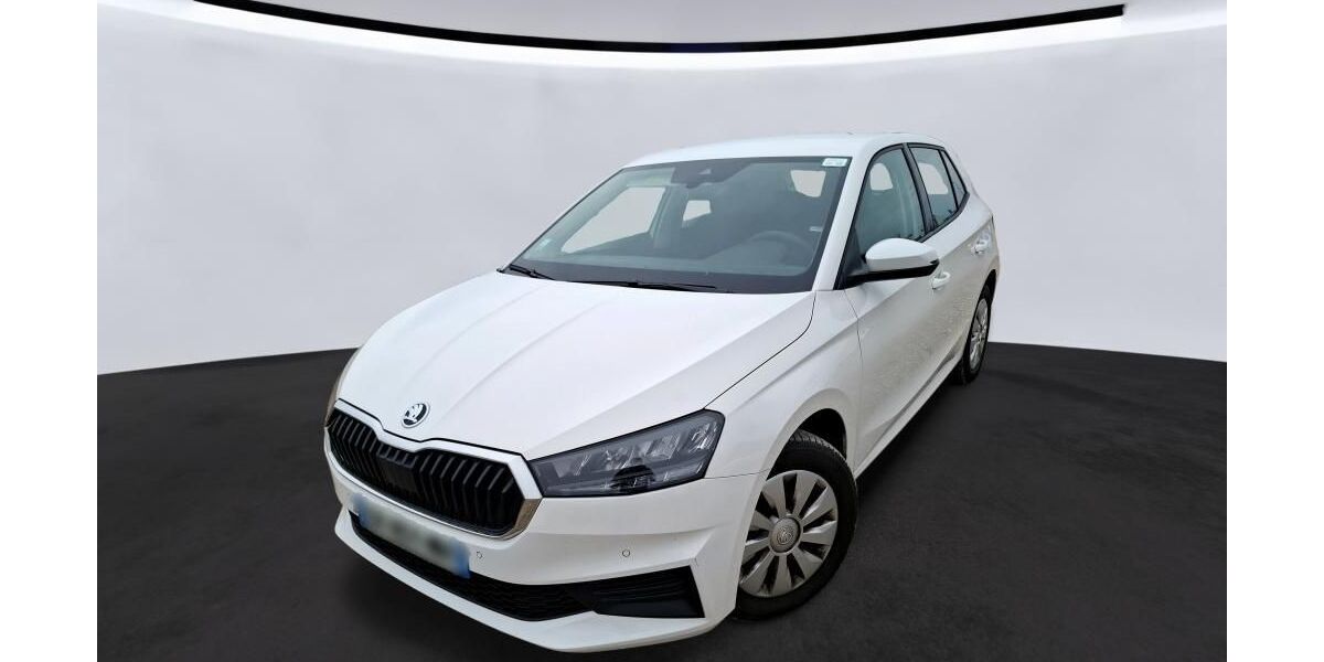 Skoda Fabia 39.998 km 11.700 &euro; Hagen 58091