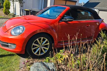 VW Beetle 53.260 km 15.900 &euro; Dortmund 44319